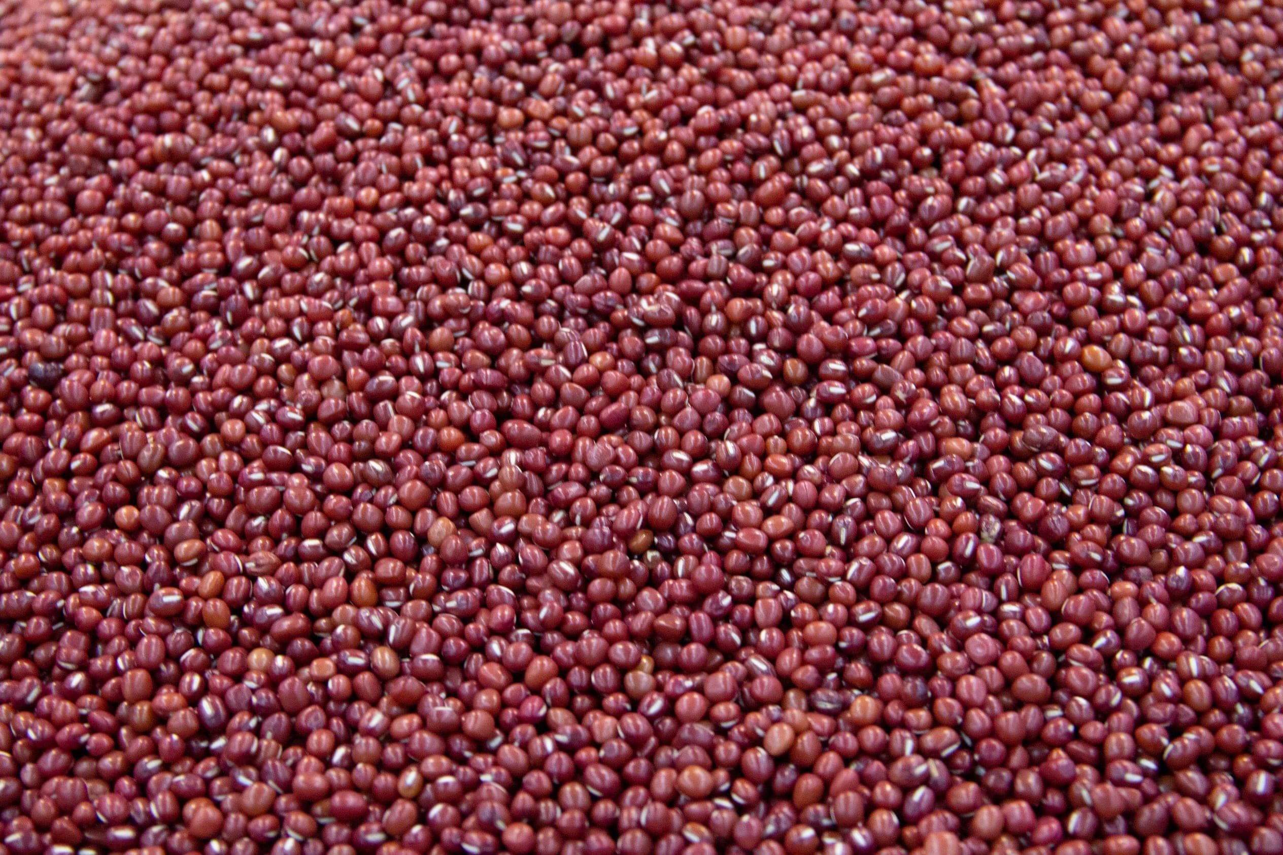 Dried red adzuki beans filling the frame