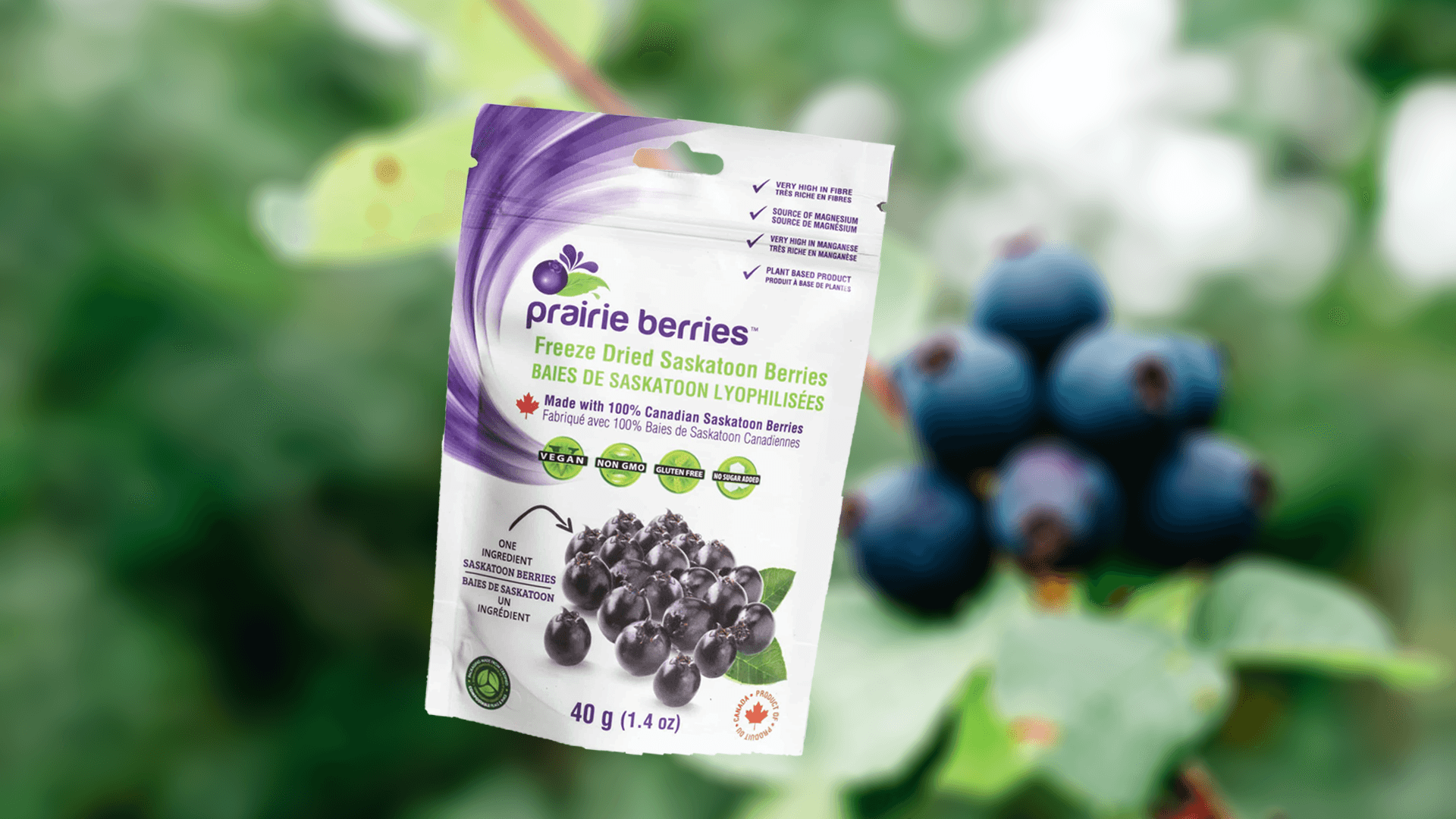 A bag of freeze-dried saskatoon berries against a blurred berry background