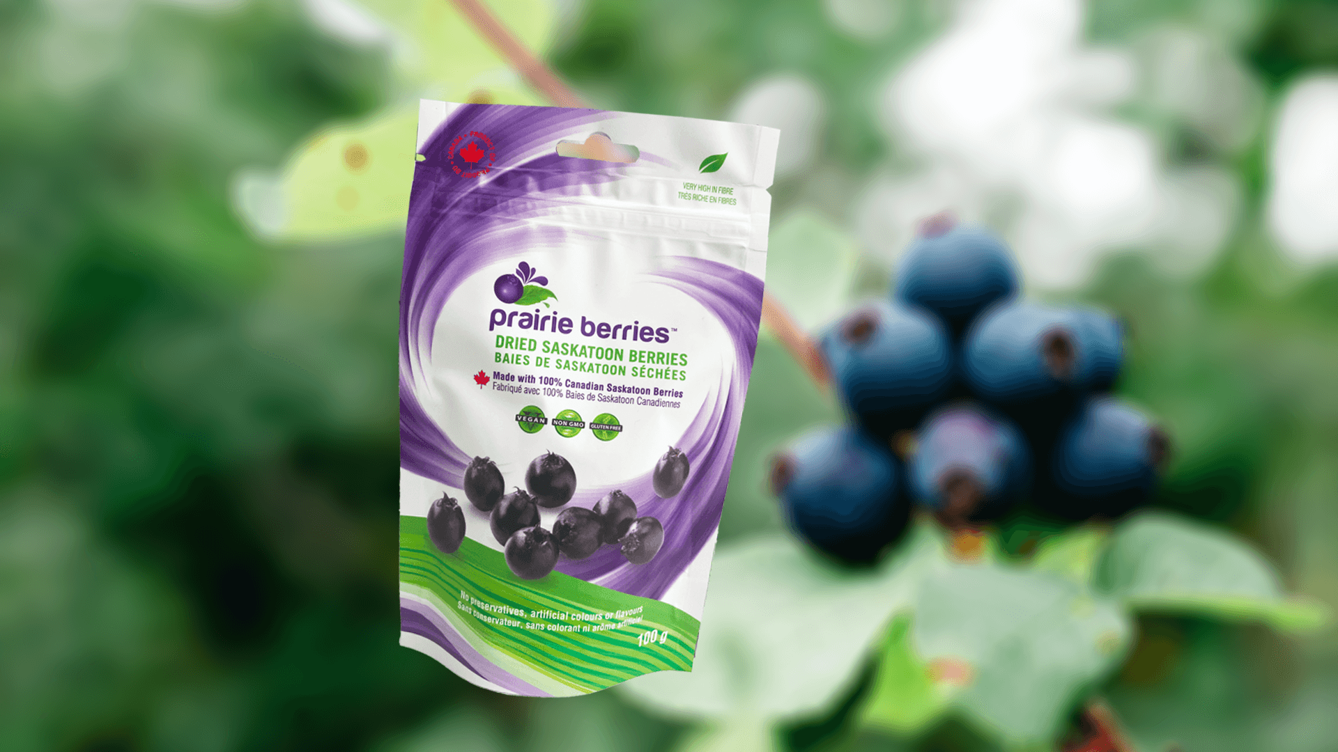 A bag of frozen saskatoon berries against a blurred berry background