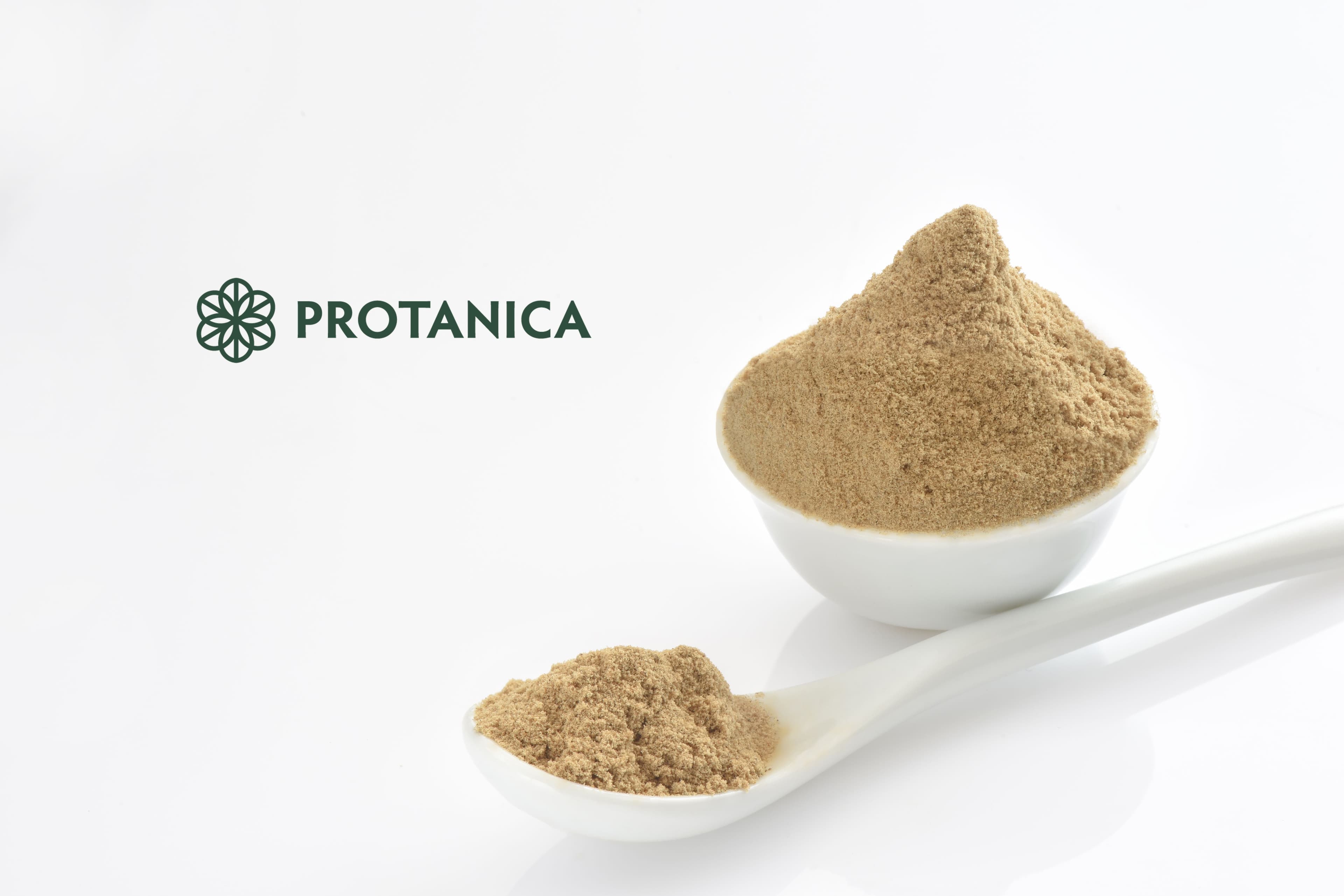 Image of Protanica Cricket Powder